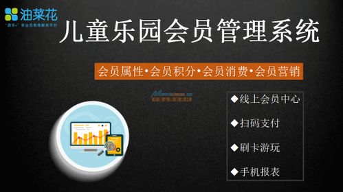 诚荐口碑优异的游乐场会员管理系统与信息技术咨询服务